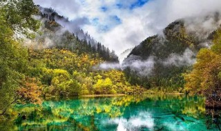 江岸乌桕歌词 江岸乌桕歌词大全
