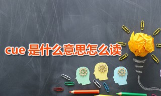 cue是什么意思怎么读 网络词汇cue是什么意思
