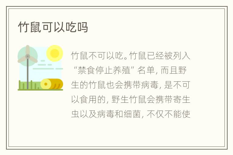 竹鼠可以吃吗