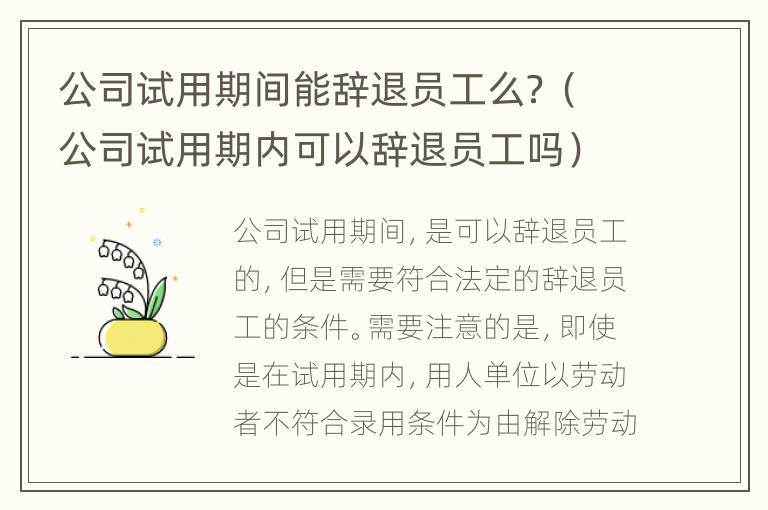 公司试用期间能辞退员工么？（公司试用期内可以辞退员工吗）