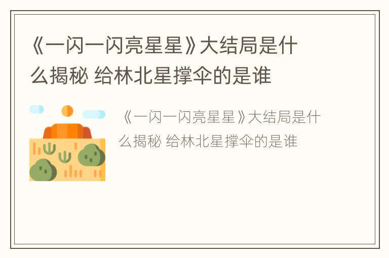 《一闪一闪亮星星》大结局是什么揭秘 给林北星撑伞的是谁