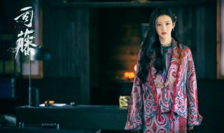 半妖司藤什么时候在一起的 司藤简介