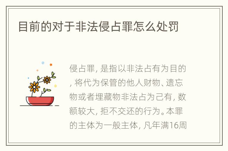 目前的对于非法侵占罪怎么处罚