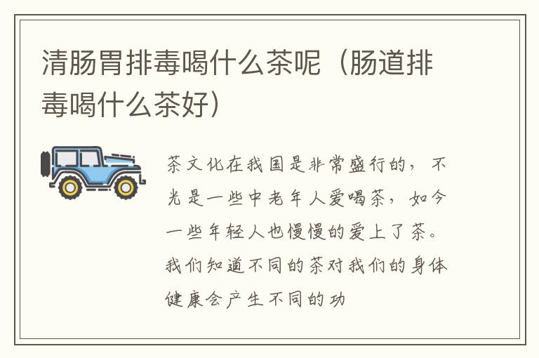 清肠胃排毒喝什么茶呢（肠道排毒喝什么茶好）