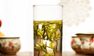 四季春茶属于什么茶 四季春茶的类别