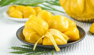 国产菠萝蜜什么时候成熟 国产菠萝蜜的成熟时间