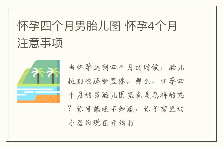 怀孕四个月男胎儿图 怀孕4个月注意事项