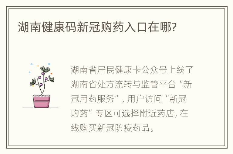 湖南健康码新冠购药入口在哪？