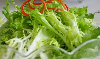 怎样去除苦菊的苦味 去除苦菊苦味的方法