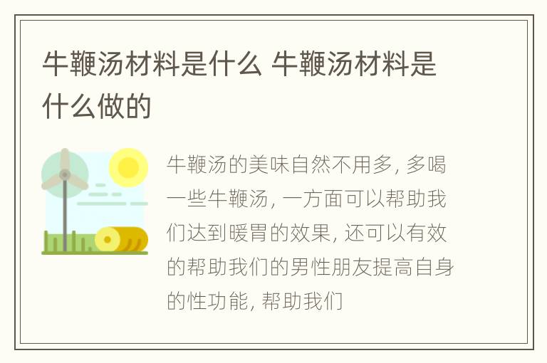 牛鞭汤材料是什么 牛鞭汤材料是什么做的