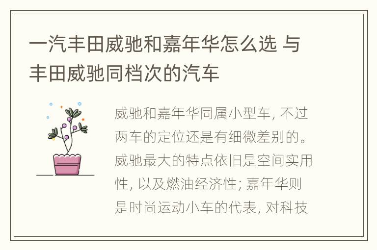 一汽丰田威驰和嘉年华怎么选 与丰田威驰同档次的汽车