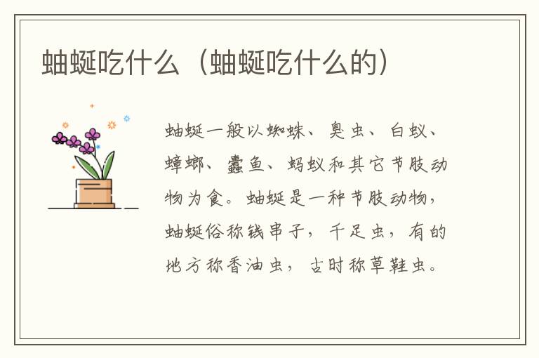 蚰蜒吃什么（蚰蜒吃什么的）