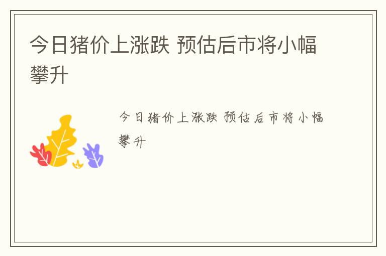 今日猪价上涨跌 预估后市将小幅攀升