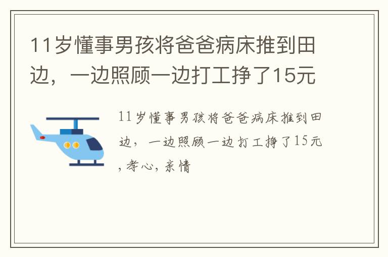 11岁懂事男孩将爸爸病床推到田边，一边照顾一边打工挣了15元
