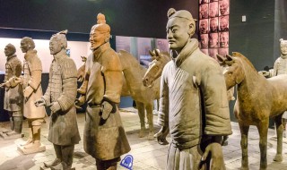 陕西博物馆介绍 陕西博物馆详细介绍