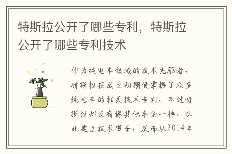 特斯拉公开了哪些专利，特斯拉公开了哪些专利技术