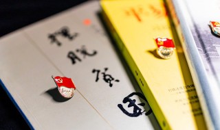 党的组织原则 党的组织原则是什么