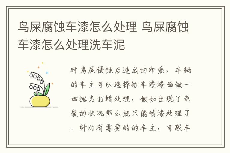 鸟屎腐蚀车漆怎么处理 鸟屎腐蚀车漆怎么处理洗车泥