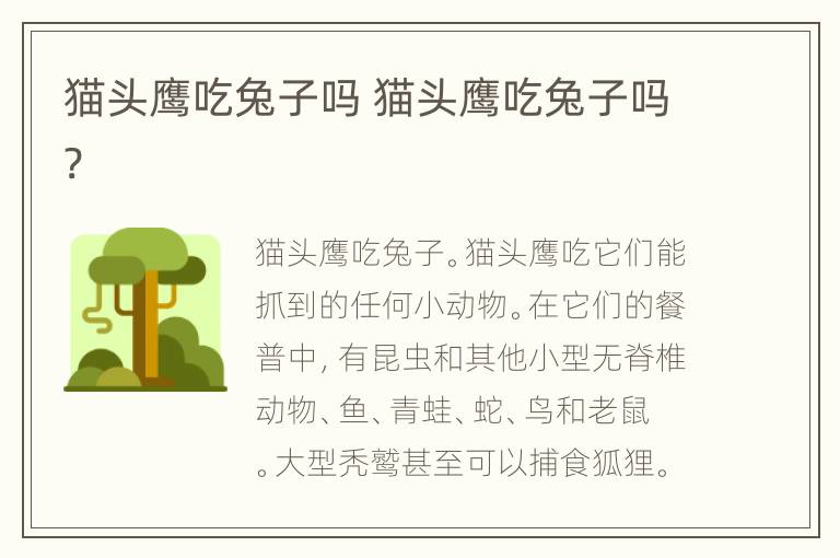 猫头鹰吃兔子吗 猫头鹰吃兔子吗?
