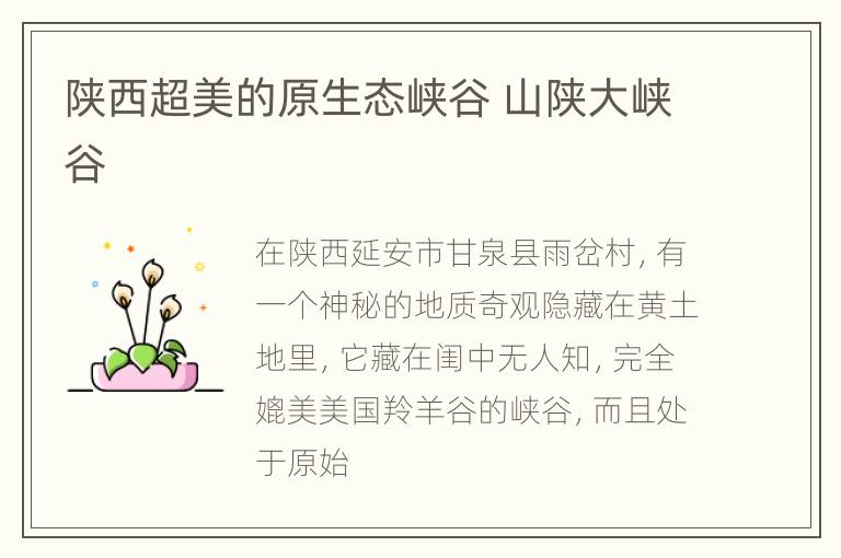 陕西超美的原生态峡谷 山陕大峡谷