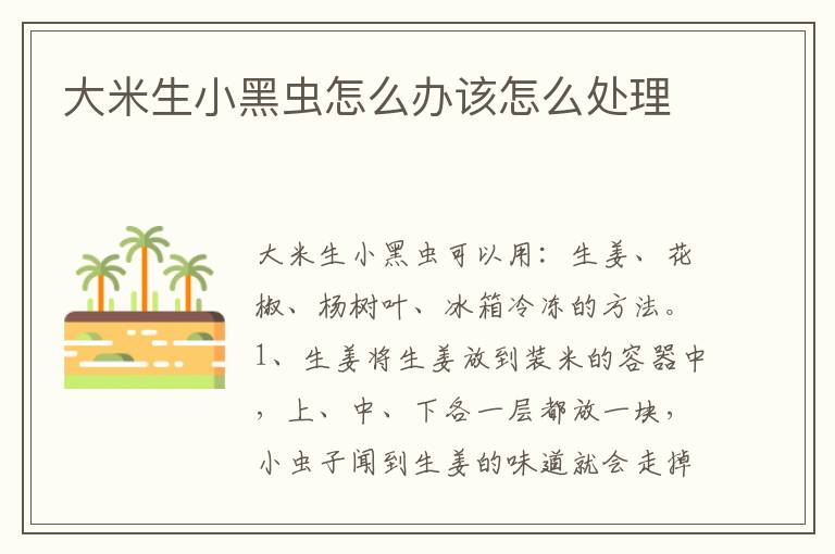 大米生小黑虫怎么办该怎么处理