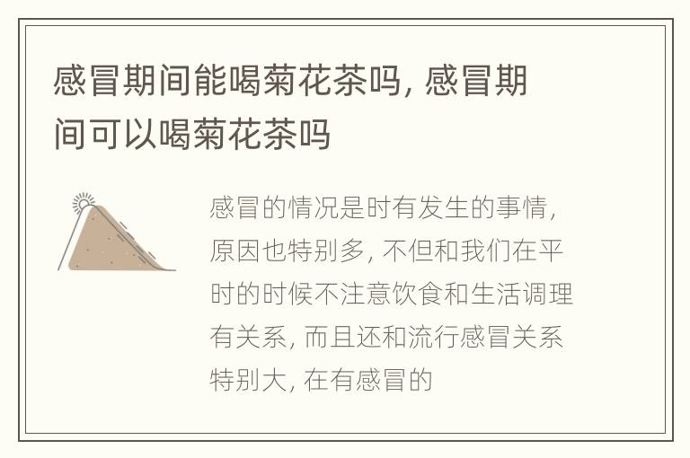 感冒期间能喝菊花茶吗，感冒期间可以喝菊花茶吗