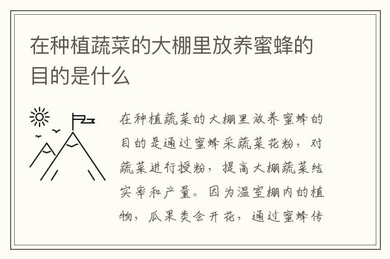 在种植蔬菜的大棚里放养蜜蜂的目的是什么