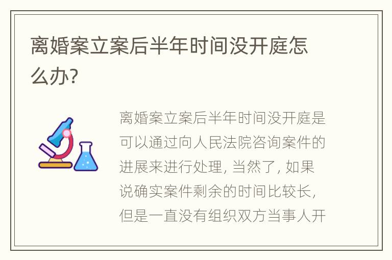 离婚案立案后半年时间没开庭怎么办？