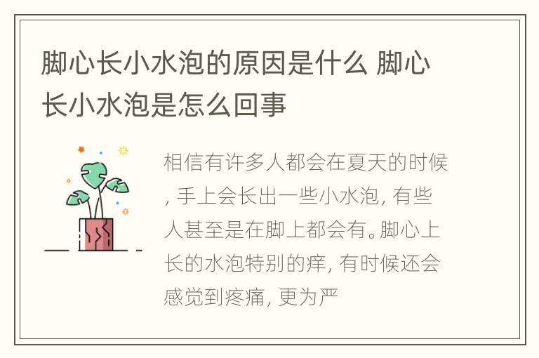 脚心长小水泡的原因是什么 脚心长小水泡是怎么回事
