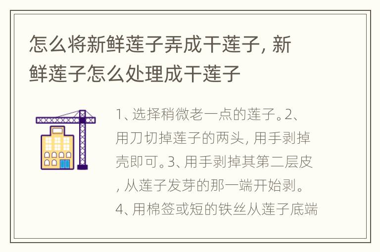 怎么将新鲜莲子弄成干莲子，新鲜莲子怎么处理成干莲子