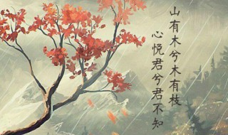 古诗词有哪些 古诗词分别有什么