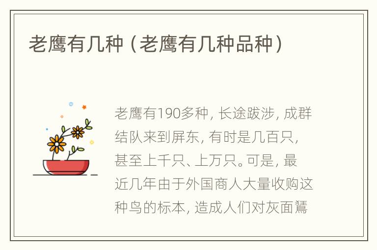 老鹰有几种（老鹰有几种品种）