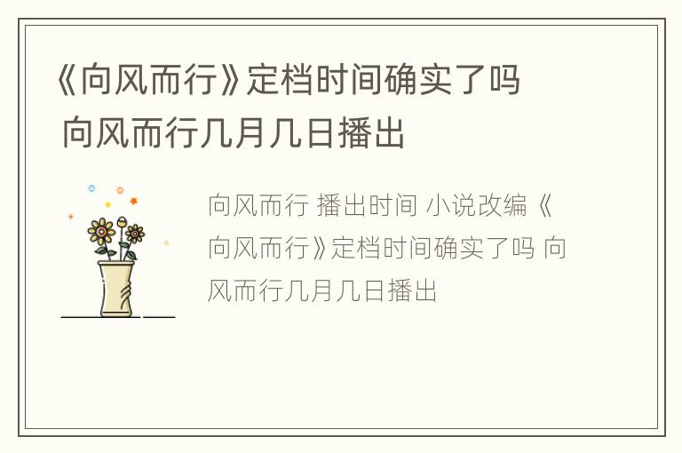 《向风而行》定档时间确实了吗 向风而行几月几日播出