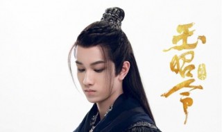 玉昭令敖子逸演什么 玉昭令敖子逸演什么角色