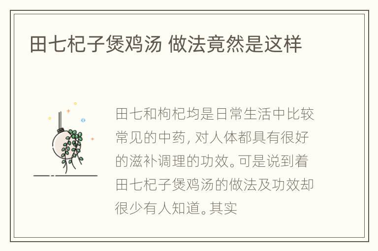 田七杞子煲鸡汤 做法竟然是这样