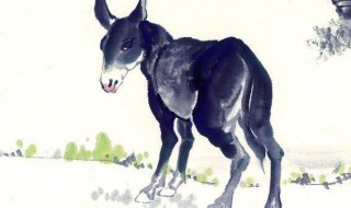 挂驴画有什么寓意 字画驴的寓意