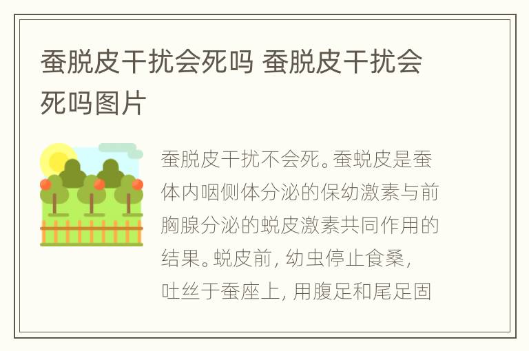 蚕脱皮干扰会死吗 蚕脱皮干扰会死吗图片