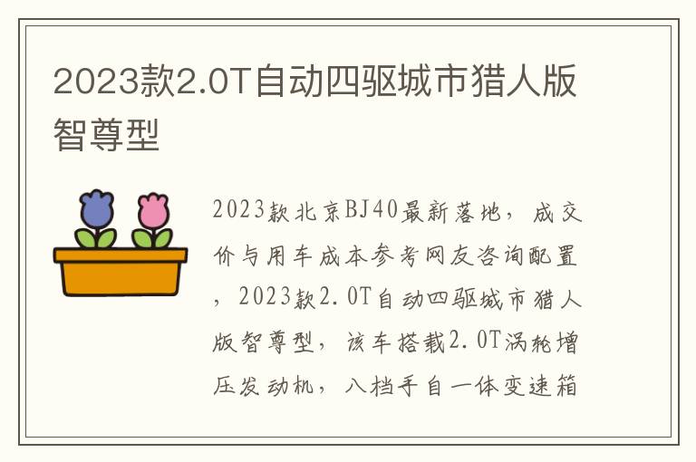 2023款2.0T自动四驱城市猎人版智尊型