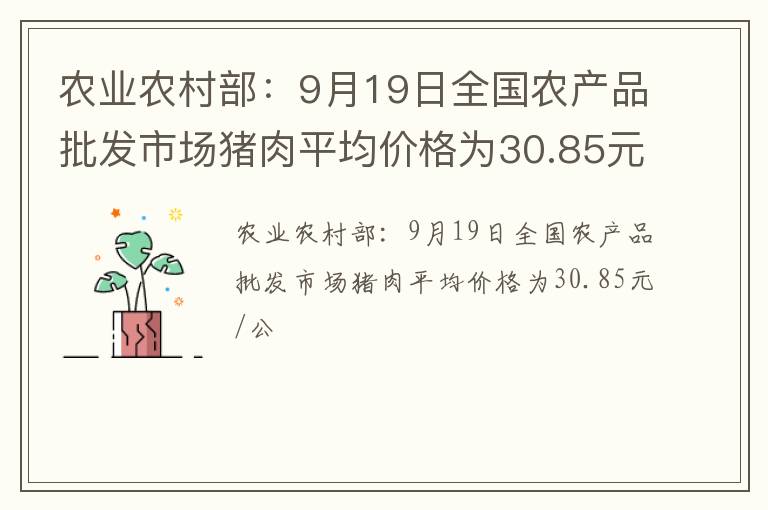 农业农村部：9月19日全国农产品批发市场猪肉平均价格为30.85元/公