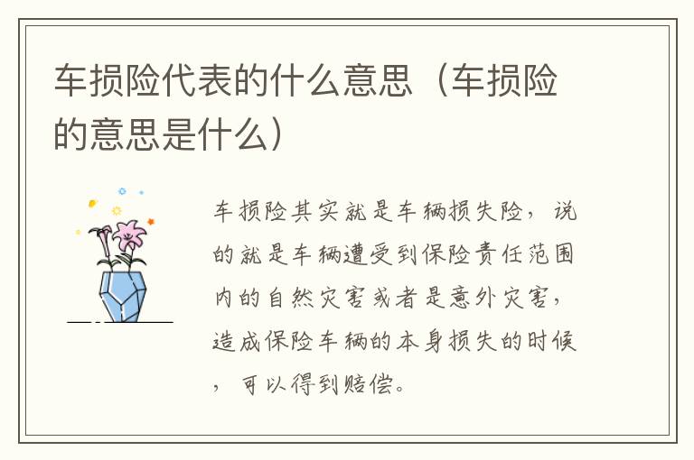 车损险代表的什么意思（车损险的意思是什么）