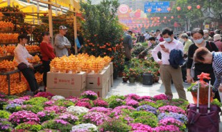 顺德春节习俗 顺德有哪些春节习俗
