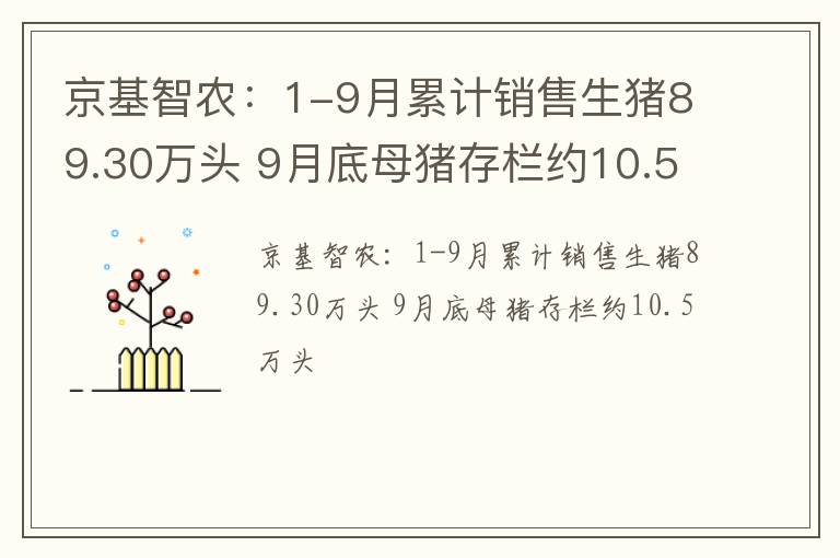京基智农：1-9月累计销售生猪89.30万头 9月底母猪存栏约10.5万头