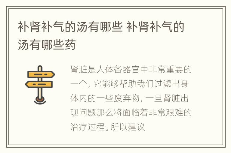 补肾补气的汤有哪些 补肾补气的汤有哪些药