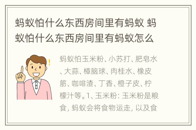 蚂蚁怕什么东西房间里有蚂蚁 蚂蚁怕什么东西房间里有蚂蚁怎么办