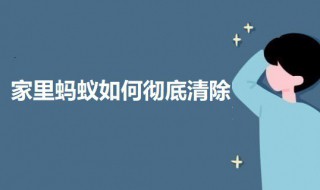 家里蚂蚁如何彻底清除 蚂蚁彻底清除的方法介绍