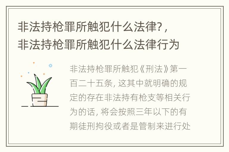 非法持枪罪所触犯什么法律？，非法持枪罪所触犯什么法律行为