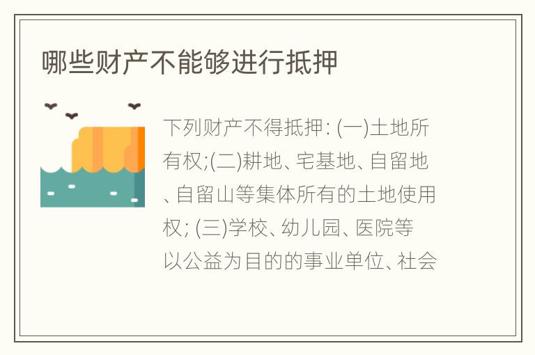 哪些财产不能够进行抵押