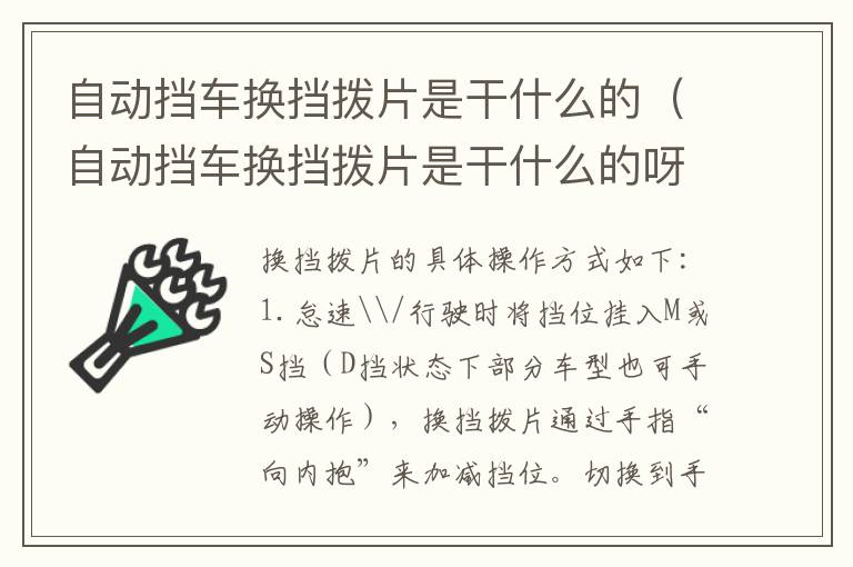 自动挡车换挡拨片是干什么的（自动挡车换挡拨片是干什么的呀）