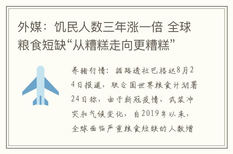 外媒：饥民人数三年涨一倍 全球粮食短缺“从糟糕走向更糟糕”