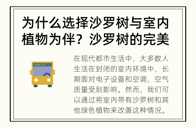 为什么选择沙罗树与室内植物为伴？ 沙罗树的完美搭配：室内生活中的绿色伴侣